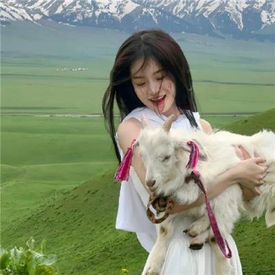 为了霍洛维茨